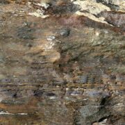 Пробковый ламинат Corkstyle Fossil